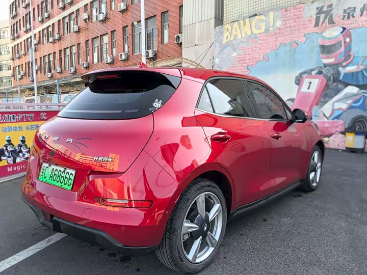 Фото 6 - Ora Good Cat (03)