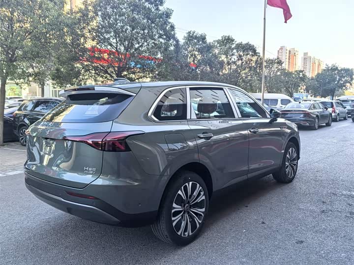 Фото 6 - Hongqi HS6 Hybrid