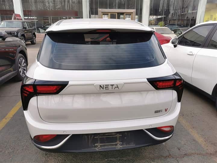 Фото 6 - Hozon V