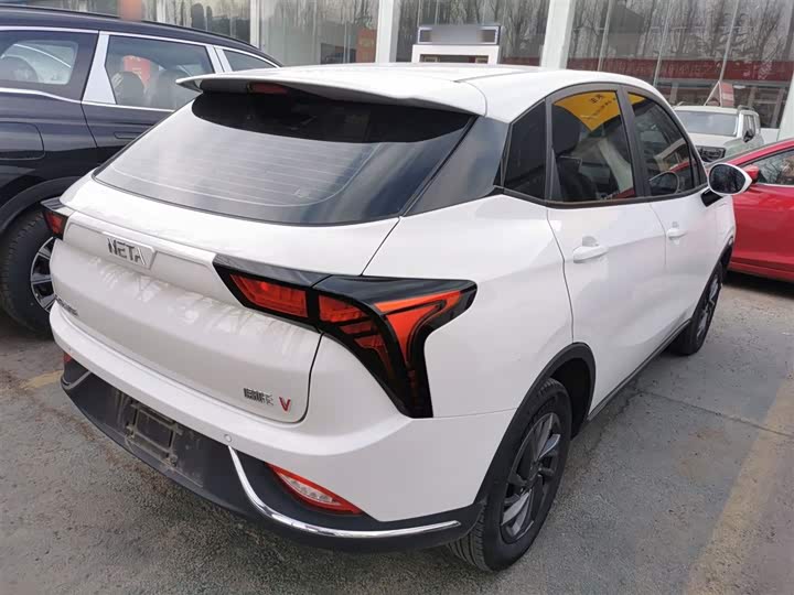 Фото 7 - Hozon V