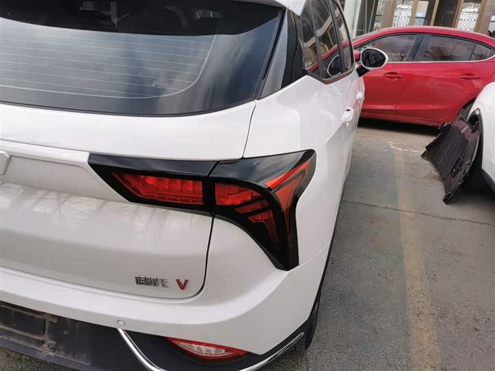 Фото 8 - Hozon V