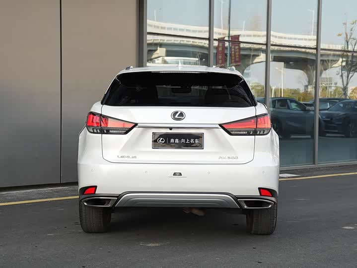 Фото 5 - Lexus RX