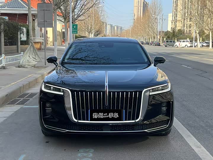 Фото 2 - Hongqi H9