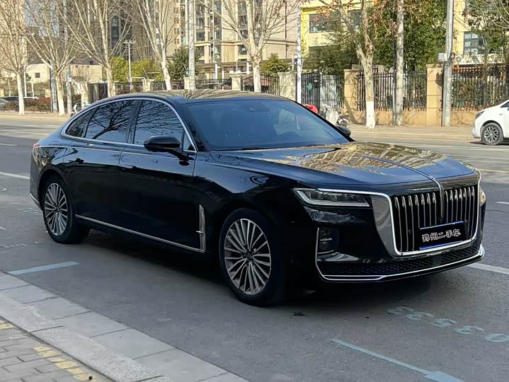 Фото 3 - Hongqi H9