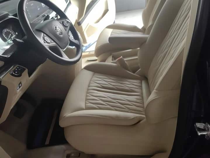 Фото 9 - Buick GL8 ES