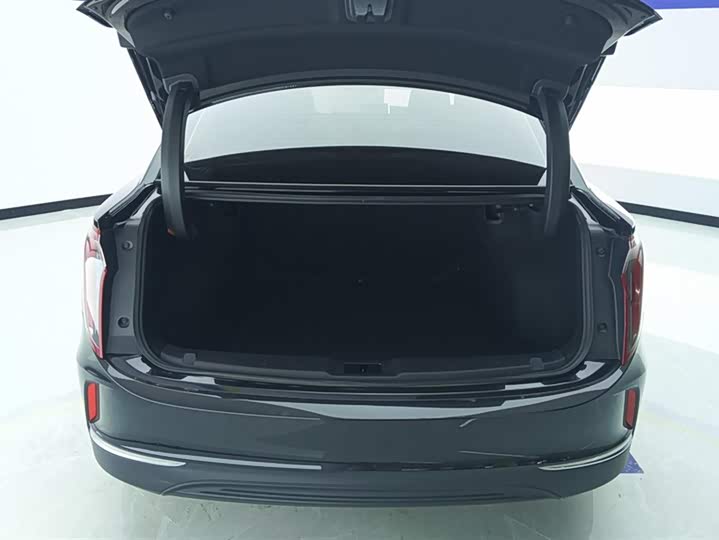 Фото 4 - Hongqi E-QM5