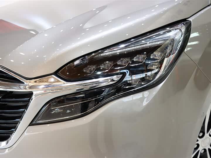 Фото 7 - Buick GL8 ES