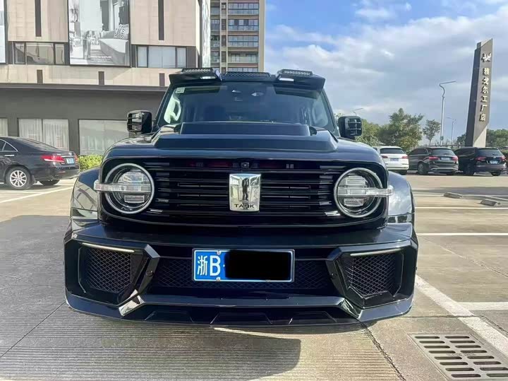 Фото 2 - Tank 300