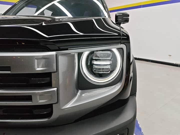 Фото 5 - Haval Dargo