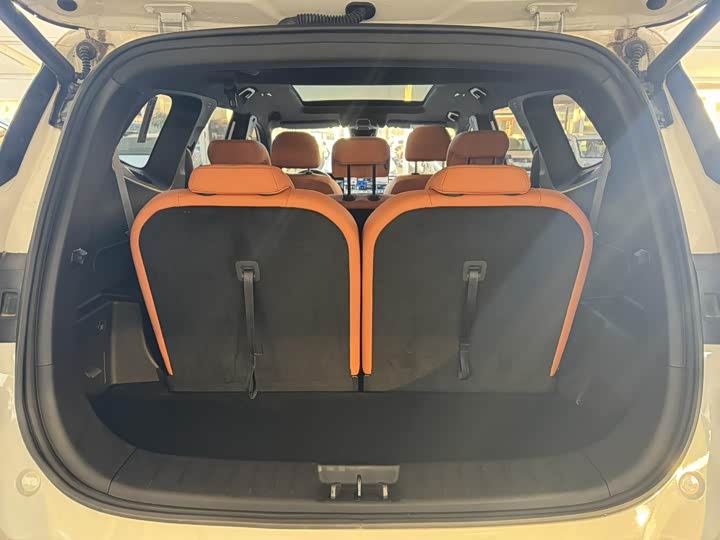 Фото 9 - Geely Okavango L