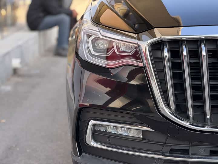 Фото 5 - Hongqi HS7