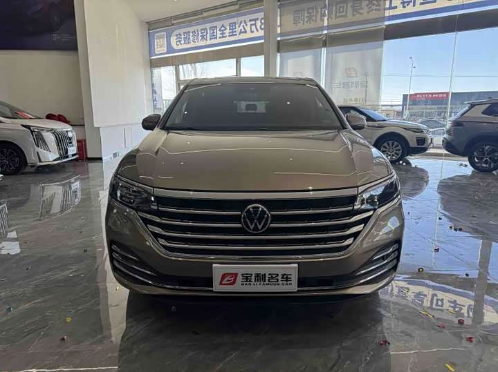 Фото 7 - Volkswagen Viloran