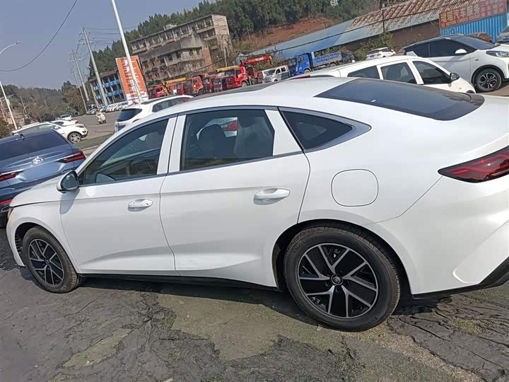 Фото 5 - BYD Qin L