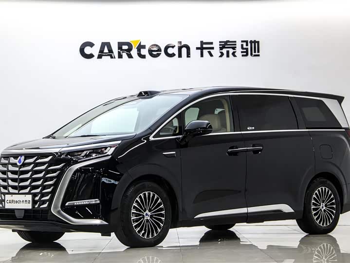 Фото 1 - Denza D9