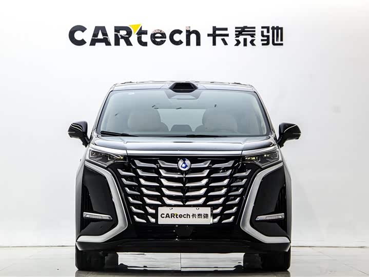 Фото 2 - Denza D9