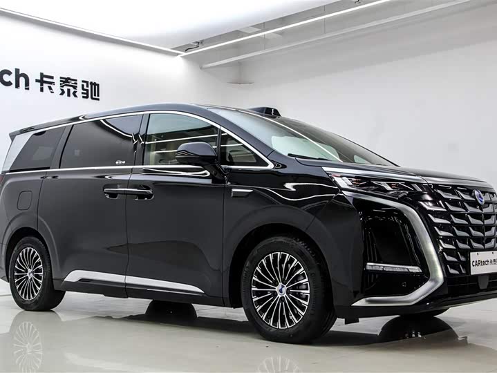 Фото 3 - Denza D9