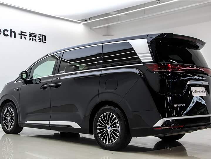 Фото 6 - Denza D9