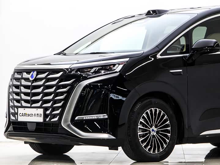 Фото 7 - Denza D9