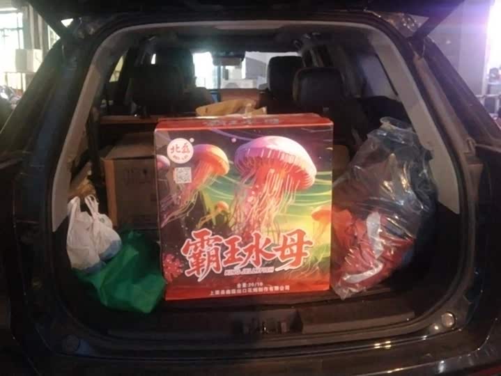 Фото 4 - Chery Tiggo 8 Plus