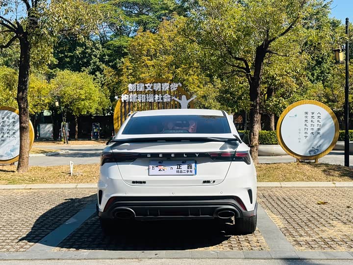 Фото 8 - Geely Binrui