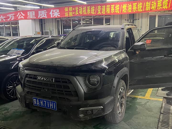 Фото 1 - Haval Dargo