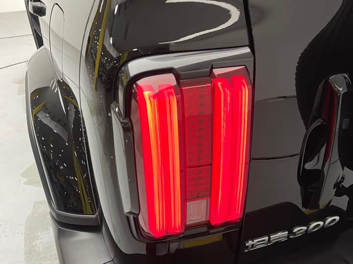 Фото 7 - Tank 300