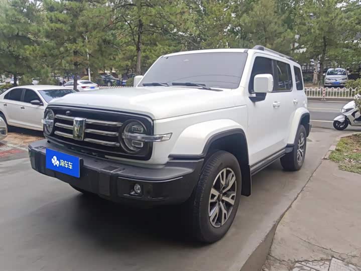 Фото 1 - Tank 300