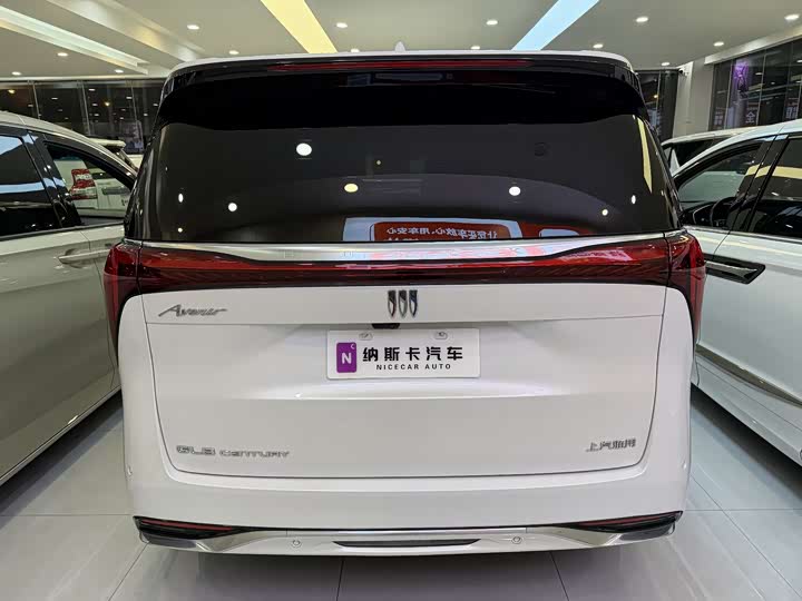 Фото 6 - Buick GL8 Century