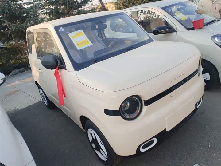 Фото 4 - Geely Galaxy Panda Mini