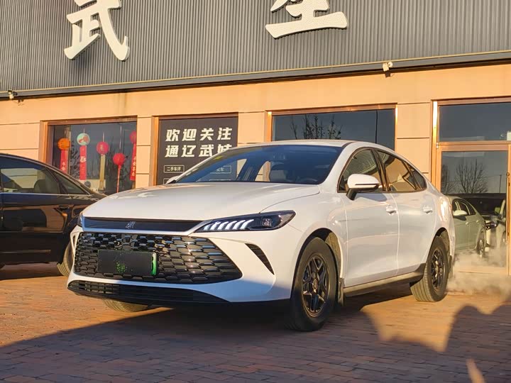 Фото 1 - BYD Qin Plus