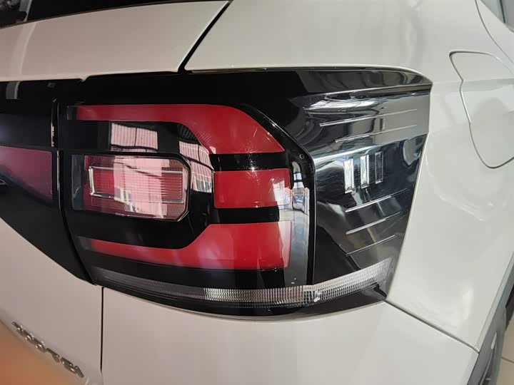 Фото 8 - Volkswagen Tacqua