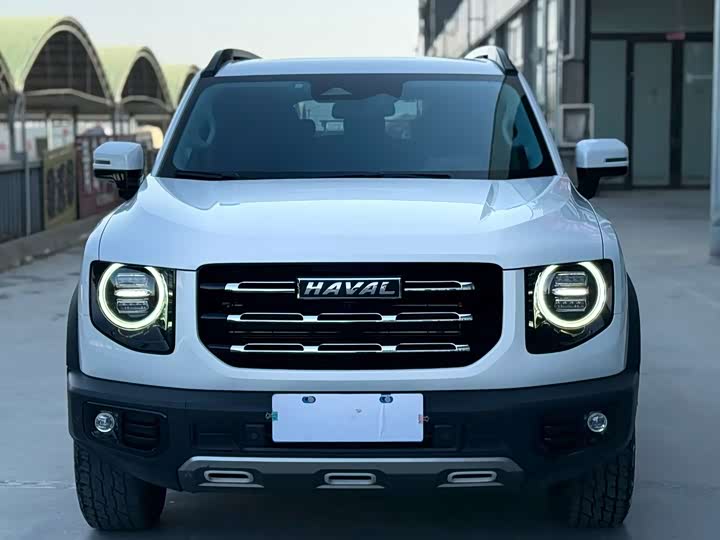 Фото 2 - Haval Dargo