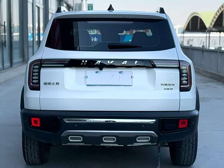 Фото 5 - Haval Dargo