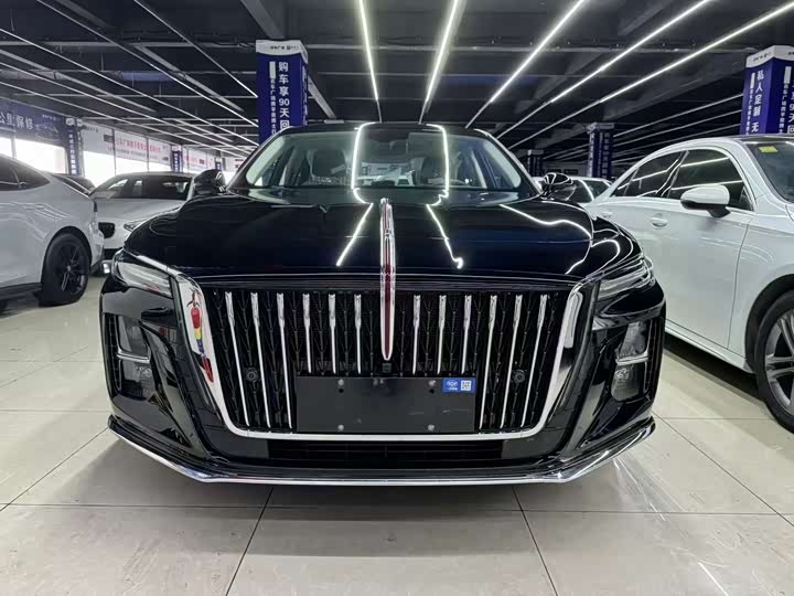 Фото 2 - Hongqi H5