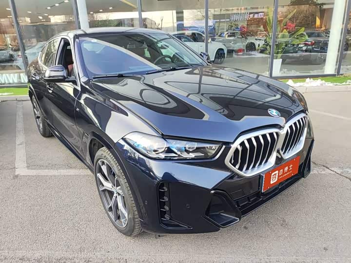 Фото 2 - BMW X6