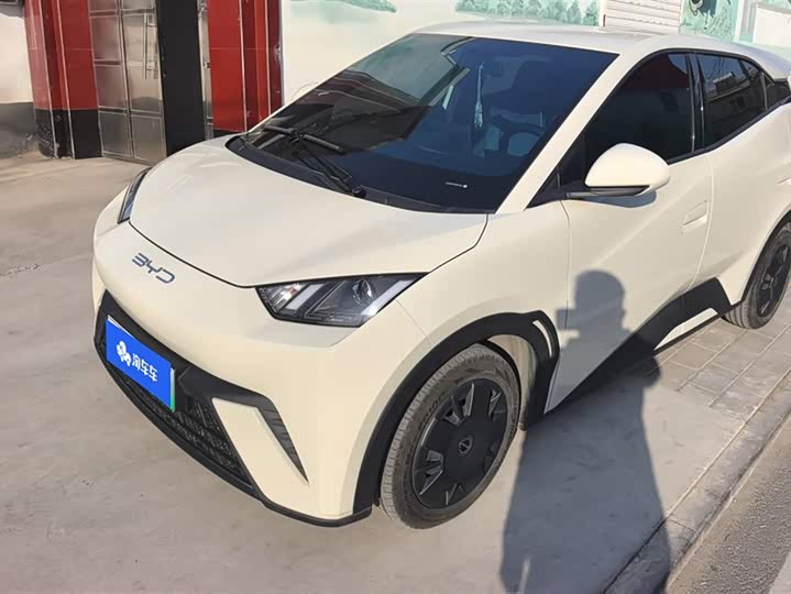 Фото 1 - BYD Seagull