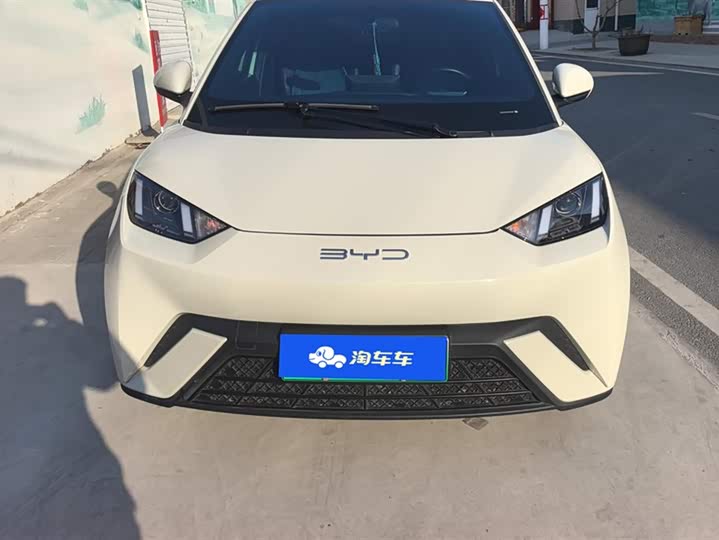 Фото 2 - BYD Seagull