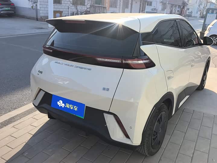Фото 3 - BYD Seagull