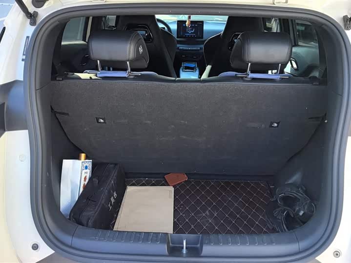 Фото 4 - BYD Seagull