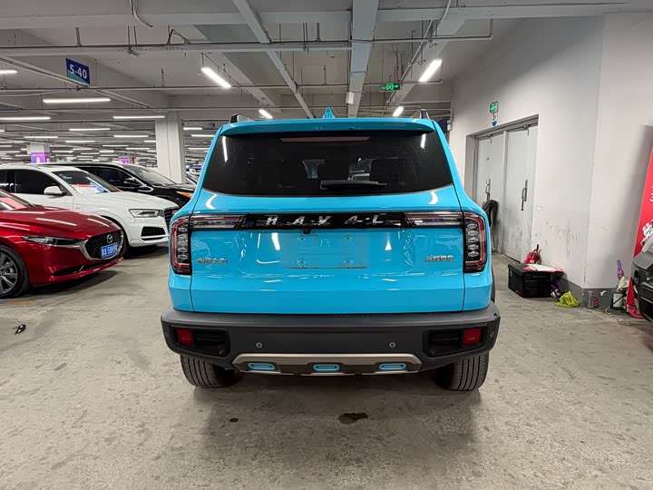 Фото 5 - Haval Dargo