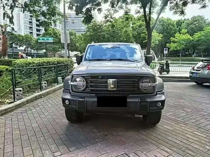 Фото 2 - Tank 300