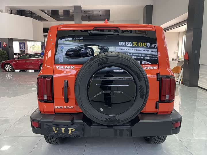 Фото 9 - Tank 300