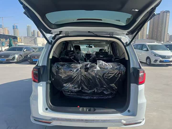 Фото 8 - Honda Elysion