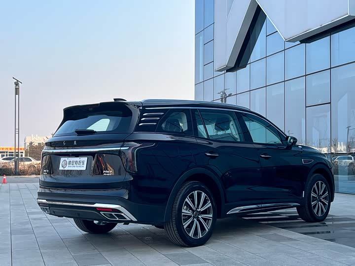 Фото 5 - Hongqi HS7 Hybrid