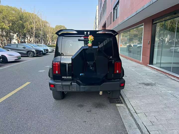 Фото 4 - Tank 300