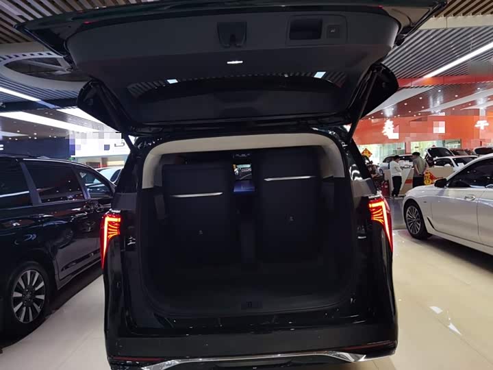 Фото 9 - Buick GL8 Century