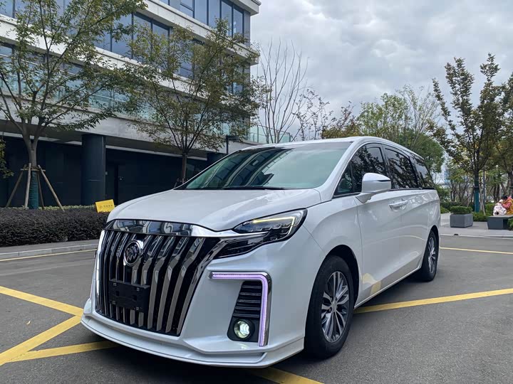 Фото 1 - Buick GL8 ES