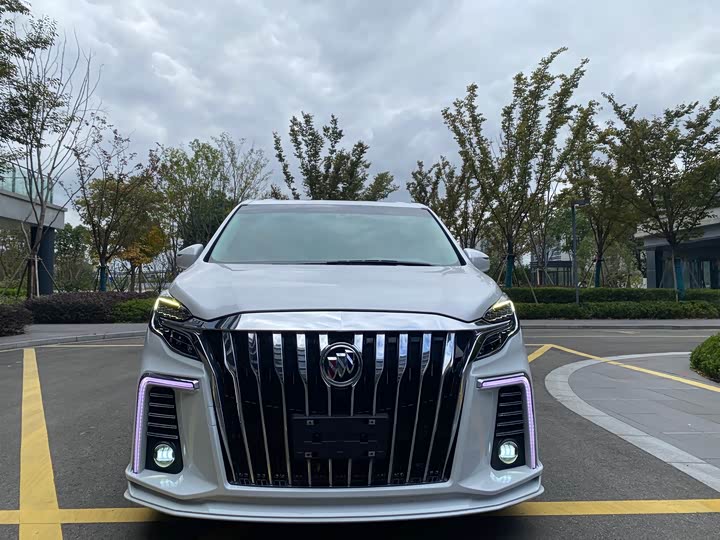 Фото 2 - Buick GL8 ES