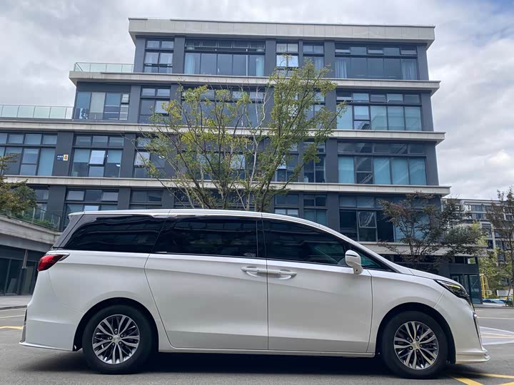 Фото 4 - Buick GL8 ES