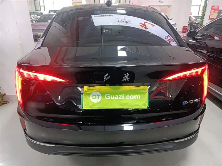 Фото 6 - Hongqi E-QM5